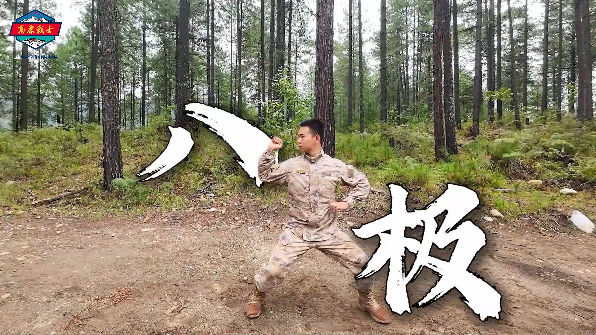 昂拳 八极拳图片