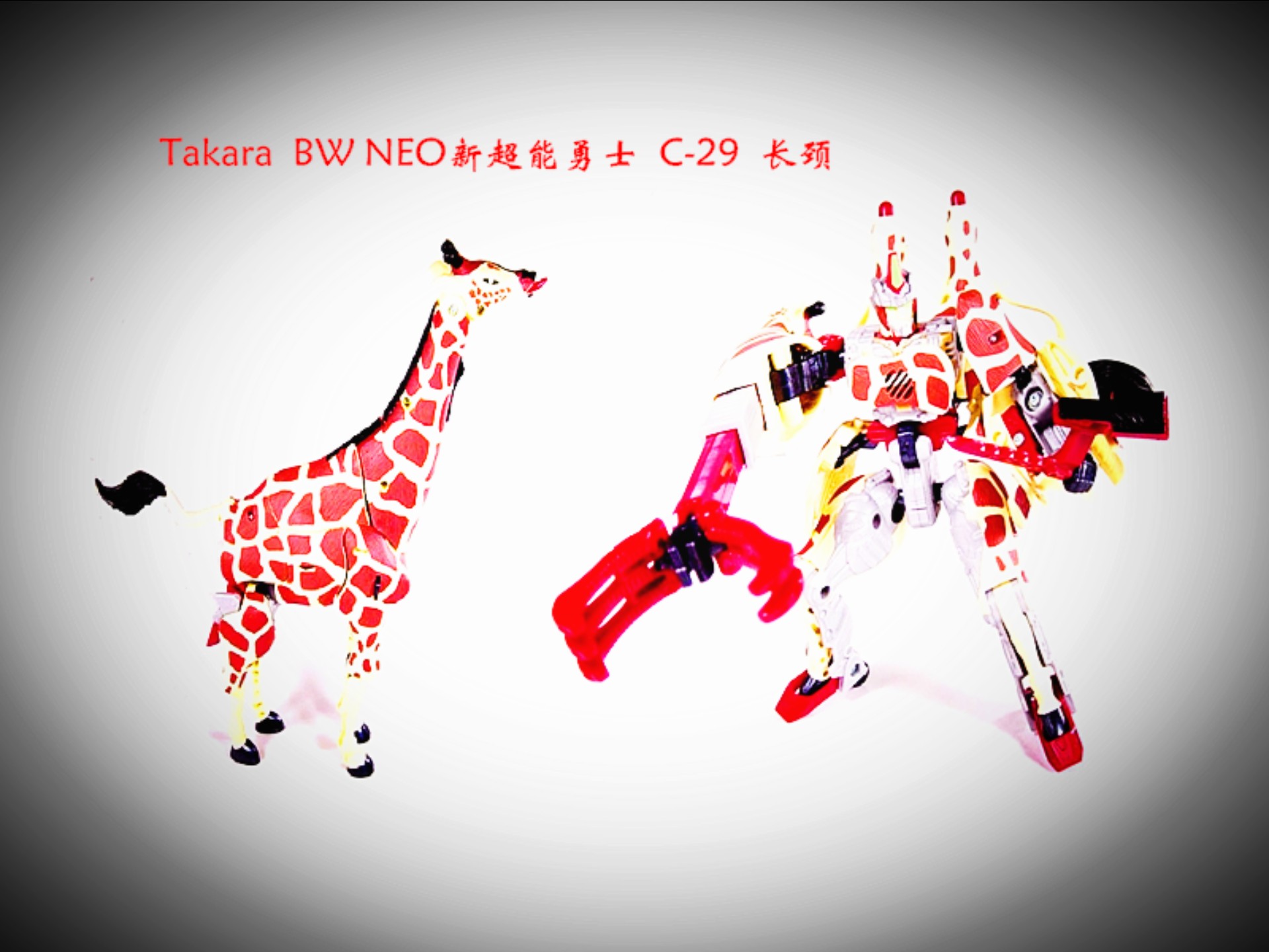 小津的变形金刚玩具视频