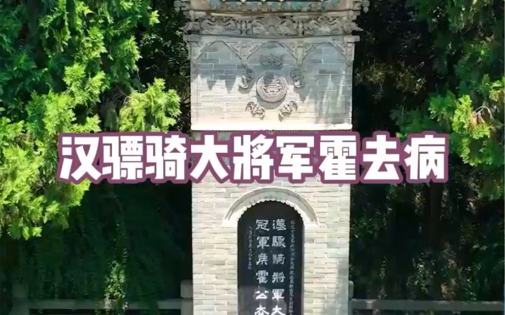 骠骑将军大司马冠军侯,一代战神霍去病长眠地,据说2000年以来从未被盗哔哩哔哩bilibili