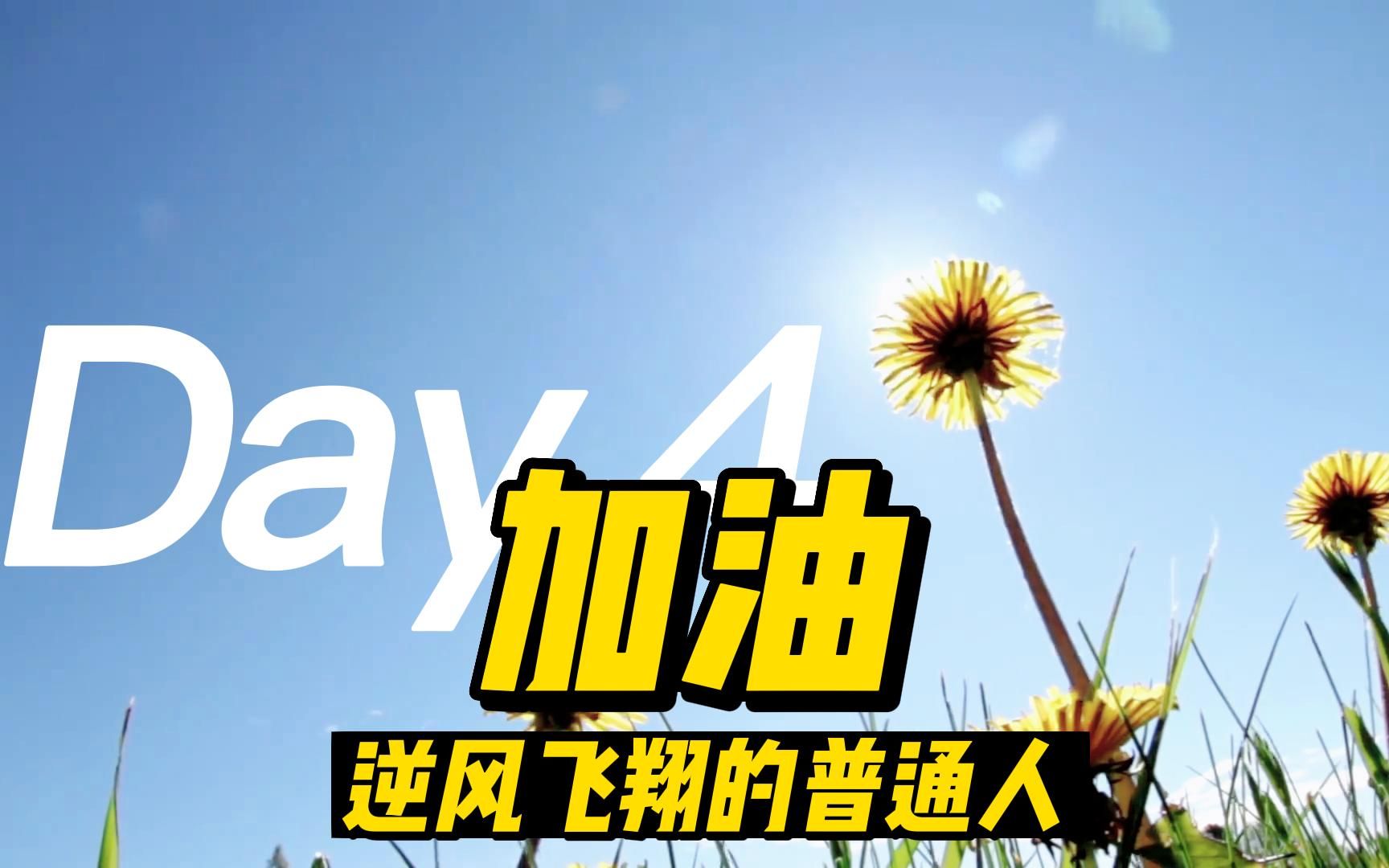 加油,逆风飞翔的普通人