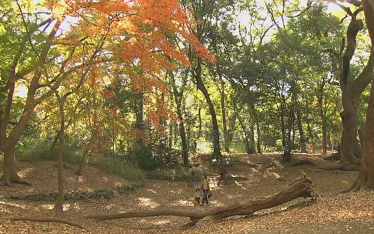 [图]【NHK纪录片】京都寻声