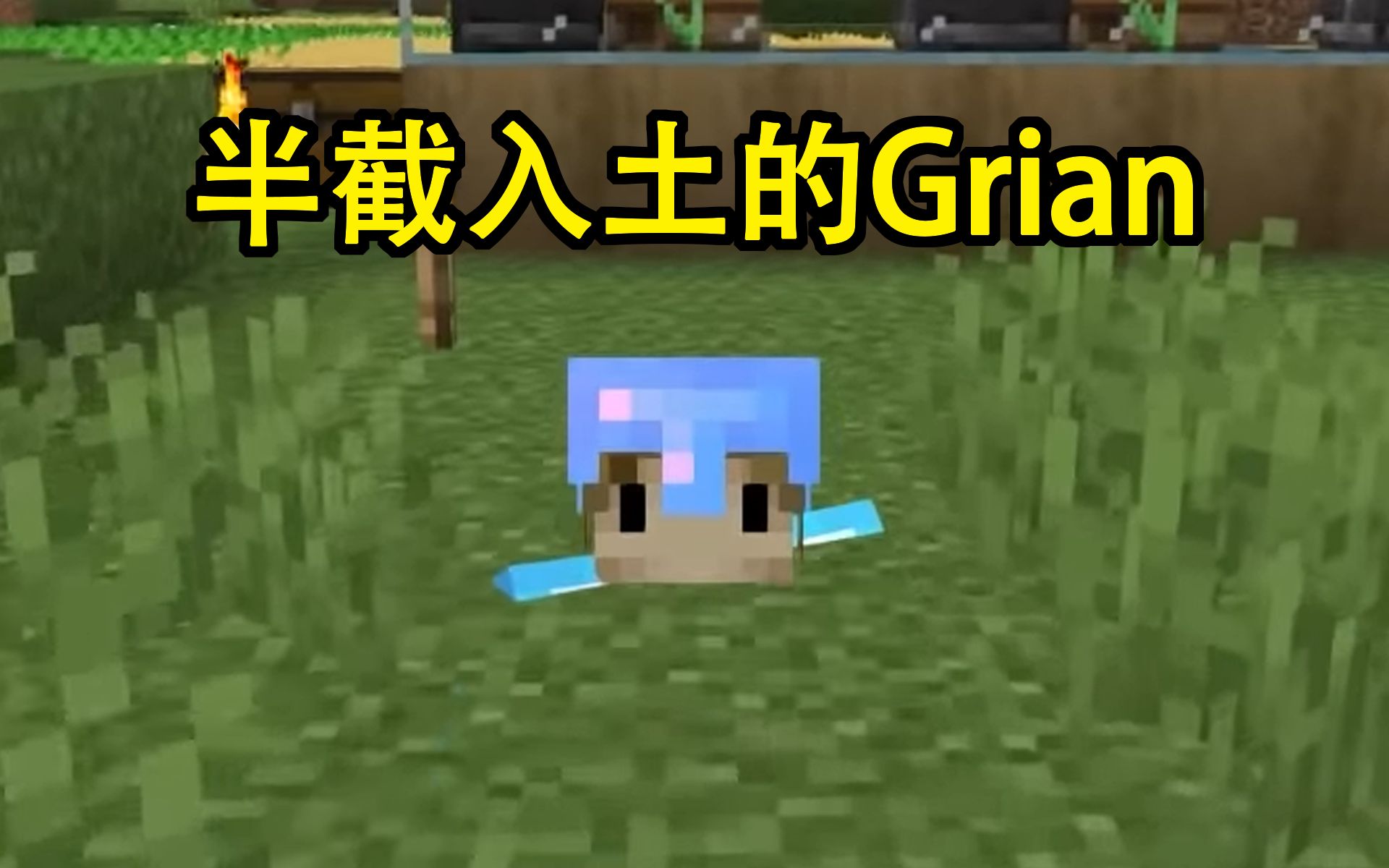 【Grian双语字幕】真正的半截入土我的世界