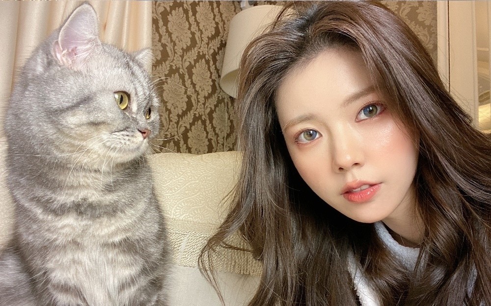 六神abi六神abi原美妆视频不完全小合集