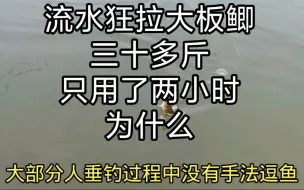 Tải video: 流水钓鲫比静水强百倍，跟我学怎么钓！两小时二百多条可否称王！