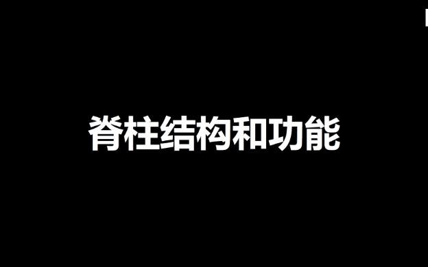 脊柱结构和功能哔哩哔哩bilibili