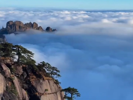 黄山有七十二峰,素有“三十六大峰,三十六小峰”之称,主峰莲花峰海拔高达1864.8米.黄山6个必爬山峰#黄山#黄山旅游#黄山天都峰哔哩哔哩bilibili