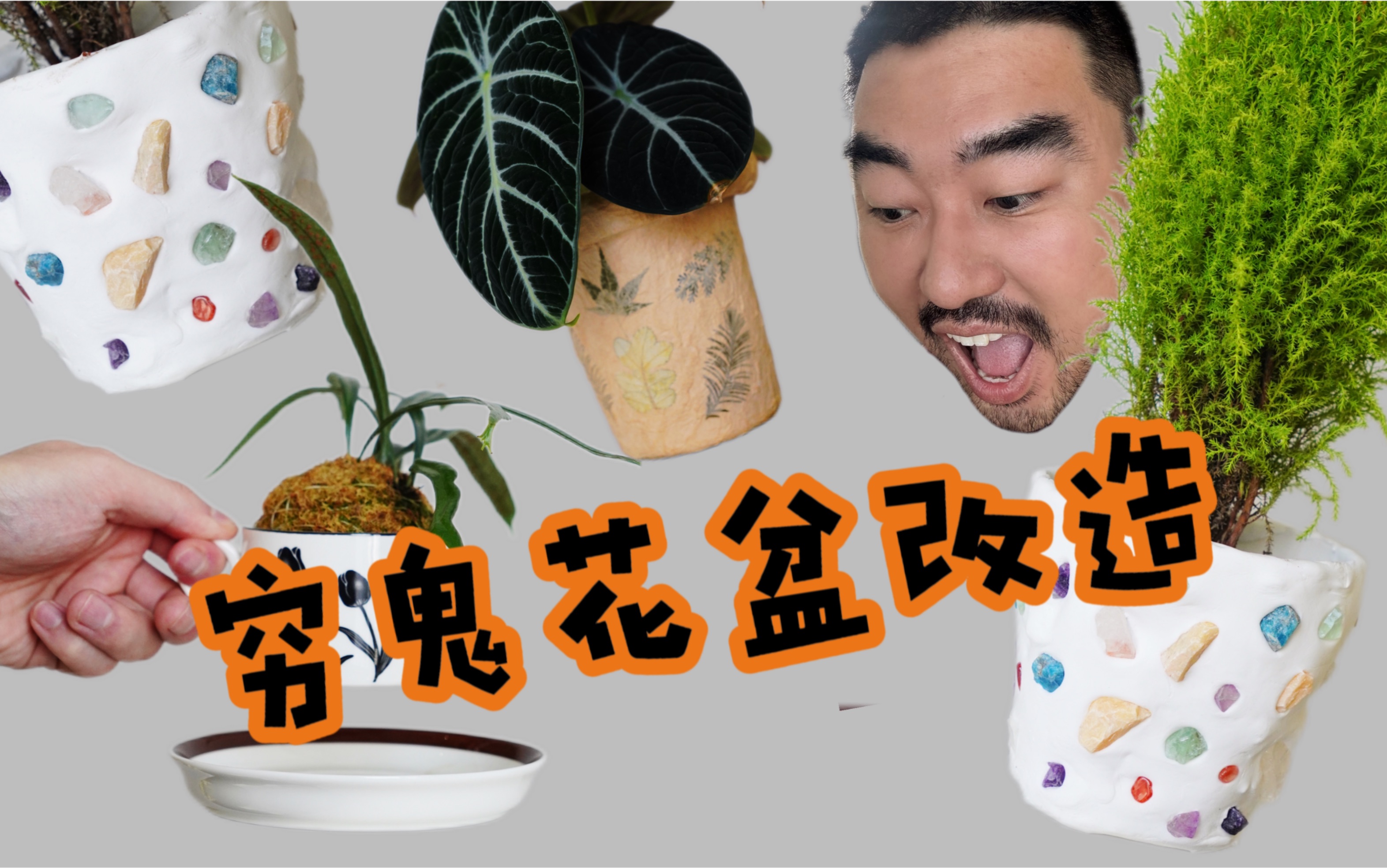 0元花盆DIY!动手做花盆,省下好几百!哔哩哔哩bilibili