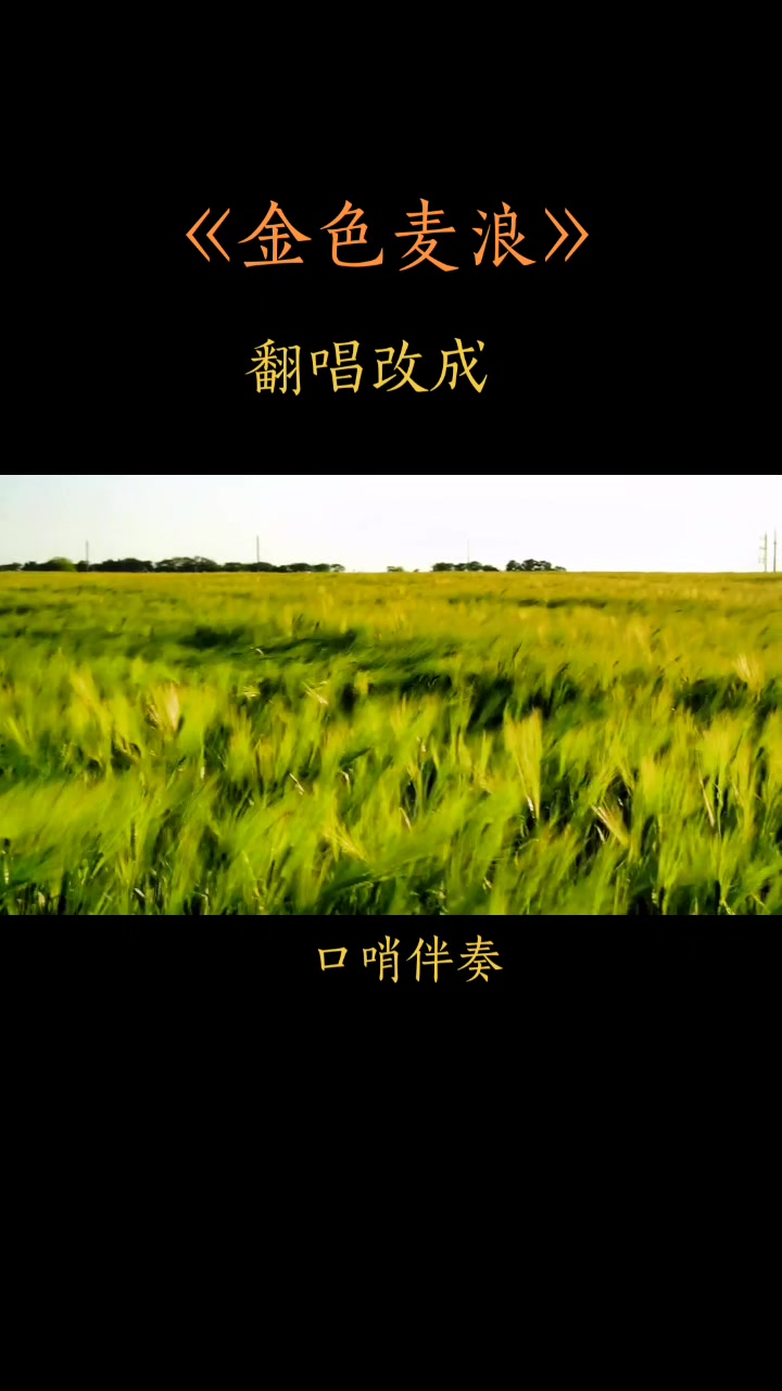 《金色麦浪》#口哨伴奏#未来的天空下涌动着金色的