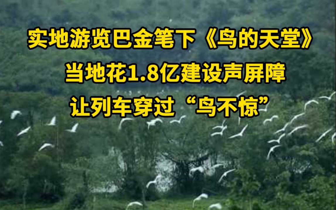 [图]实地游览巴金笔下《鸟的天堂》：当地耗资1.8亿建设声屏障，列车穿过“鸟不惊”