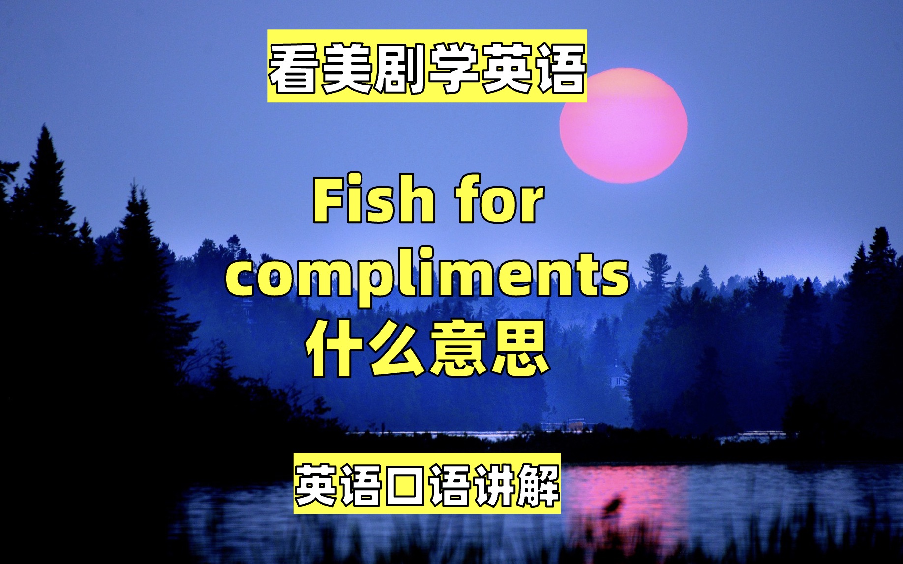 看美剧学英语:fish for compliments, 英语口语,英语听力,单词哔哩哔哩bilibili