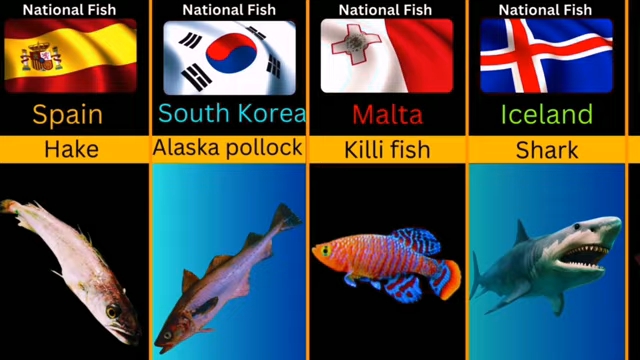 世界各国的“国鱼”(Nation Fish OF Different Country)哔哩哔哩bilibili