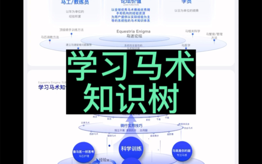 学习马术知识树哔哩哔哩bilibili