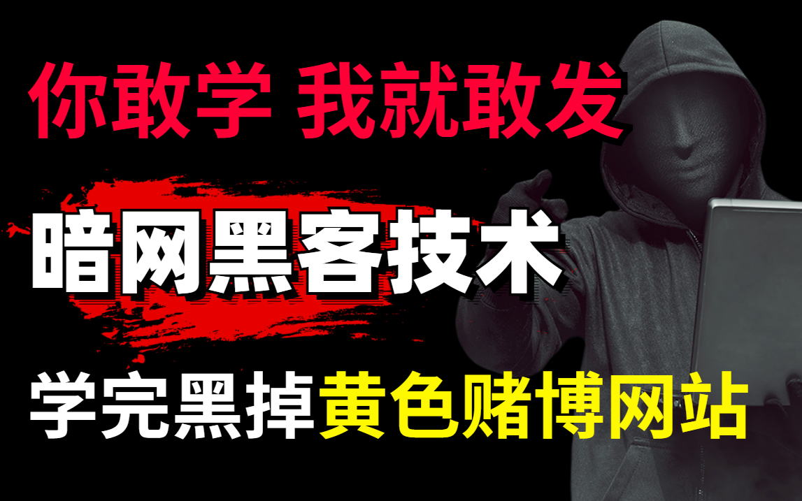 【从入门到入狱】1000集暗网黑客技术教程,只要你敢学我就敢发!学完黑掉黄色赌博网站哔哩哔哩bilibili