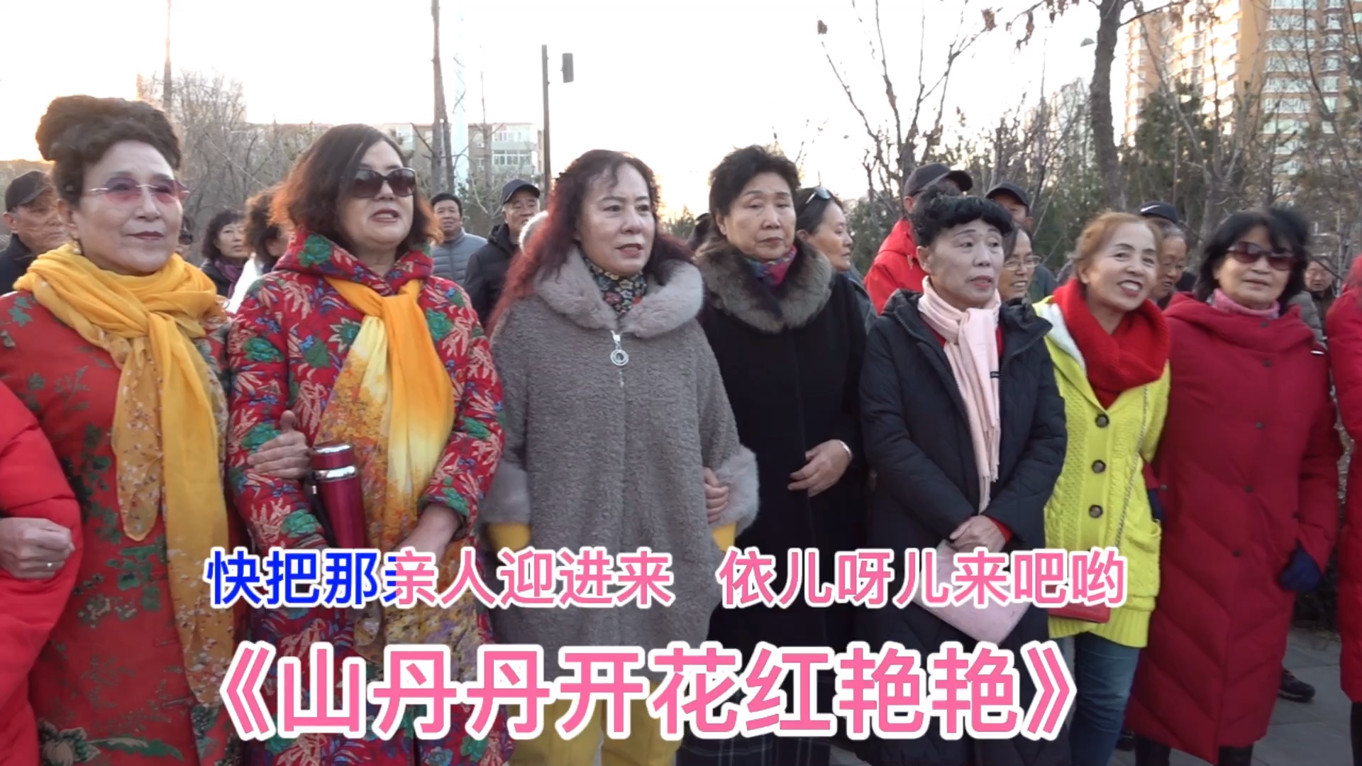 北沙河歌友,高唱《山丹丹开花红艳艳》歌声嘹亮!指挥:高云山
