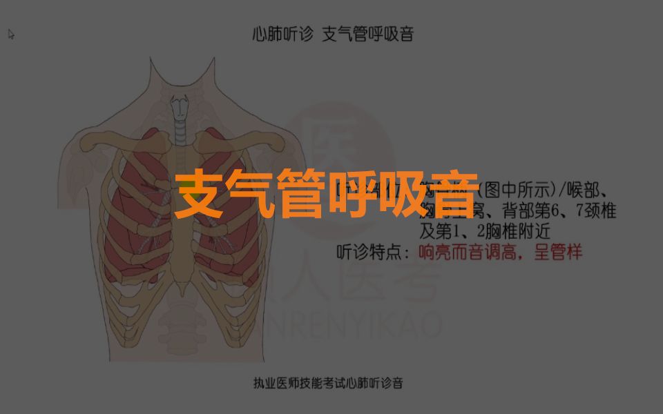 支气管呼吸音是呼吸时气流在声门、气管形成湍流所产生的声音,类似将舌抬高,经口腔呼气时所发出的“哈”音.哔哩哔哩bilibili