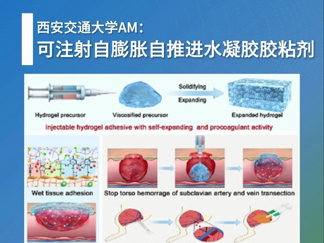 西安交通大学:可注射自膨胀自推进水凝胶胶黏剂哔哩哔哩bilibili