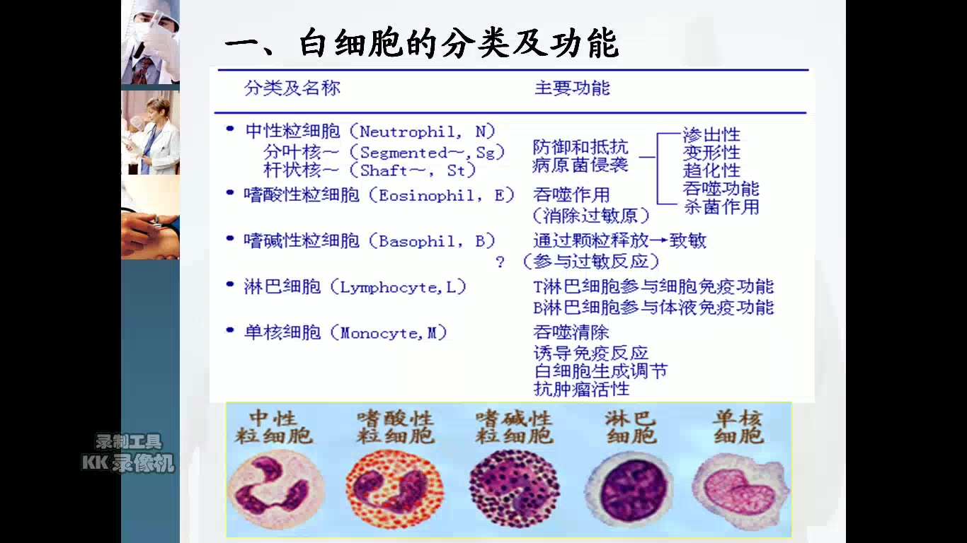 [图]自用|实验诊断学--白细胞检验