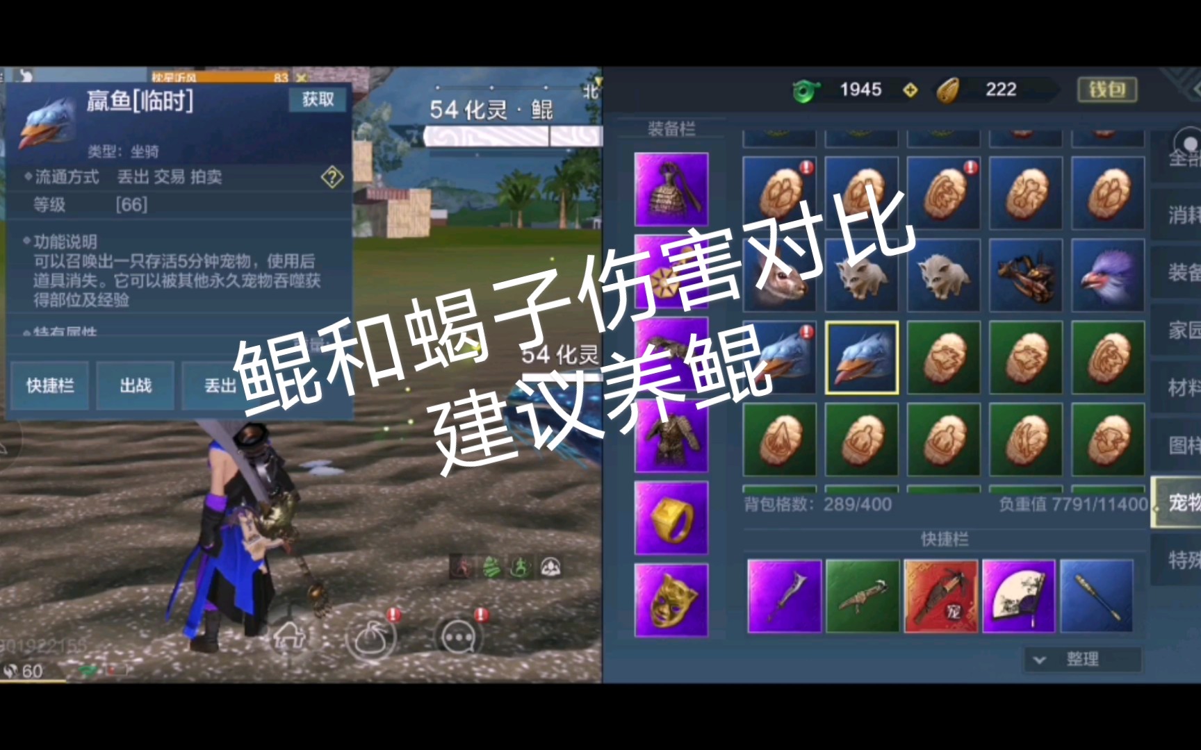 妄想山海鲲伤害测试与蝎子对比