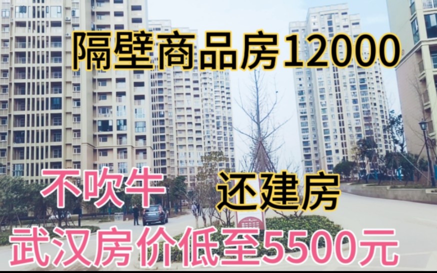 武汉房价低至5500到低谷?还建房非常便宜,隔壁商品房高达12000哔哩哔哩bilibili