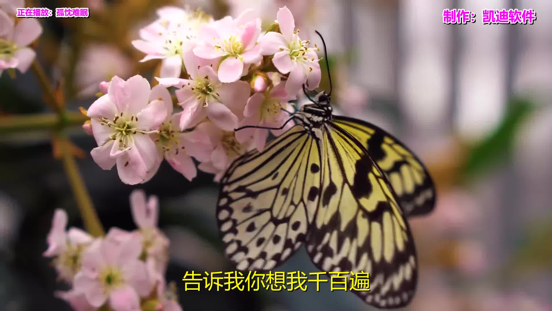 [图]《孤忱难眠》《同声一哭》欣赏，手机录制mv用什么软件好