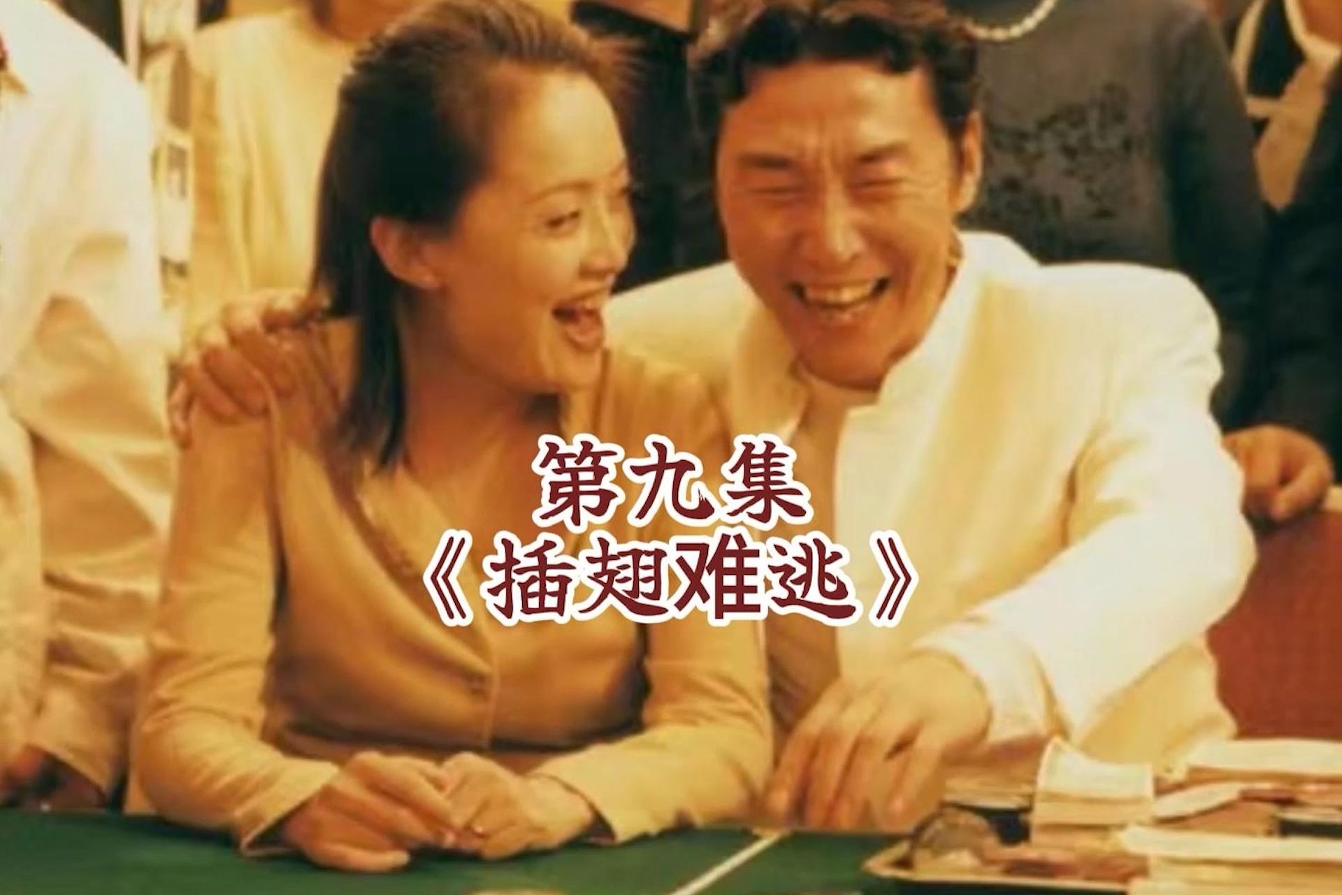 插翅难逃第九集,为救豪哥妻子请来顶级律师#刑侦剧#插翅难逃#好剧推荐