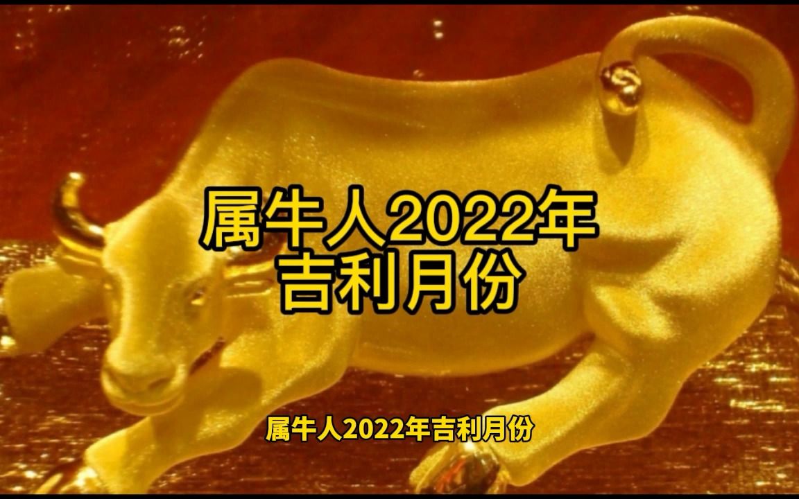 属牛人2022年吉利月份哔哩哔哩bilibili