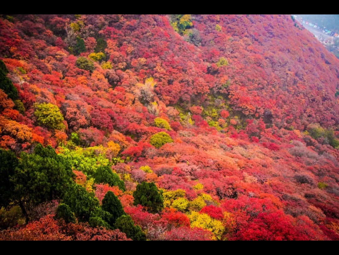 [图]看万山红遍，听歌曲《画你》