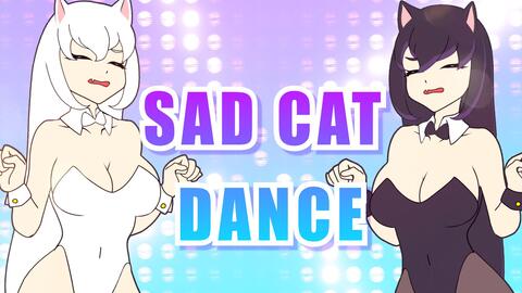 SAD CAT DANCE // ANIMATION MEME_哔哩哔哩_bilibili