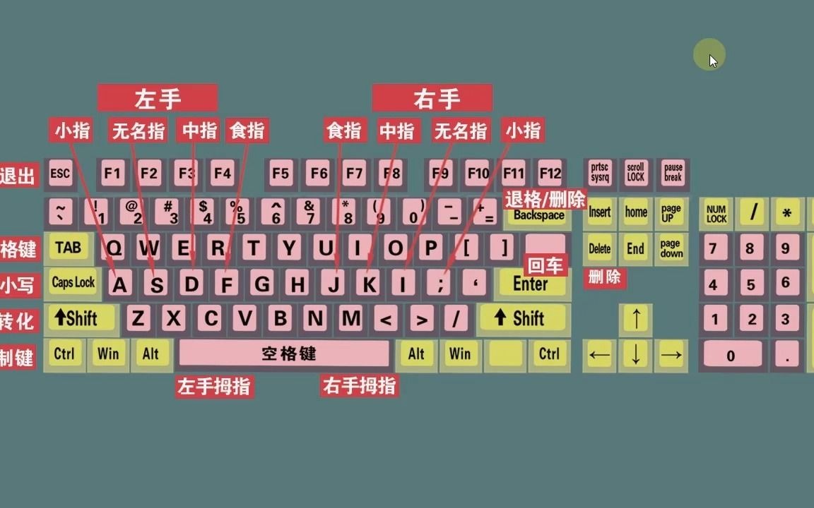 零基礎電腦知識掌握鍵盤標準指法打字速度和準確率都可以提高