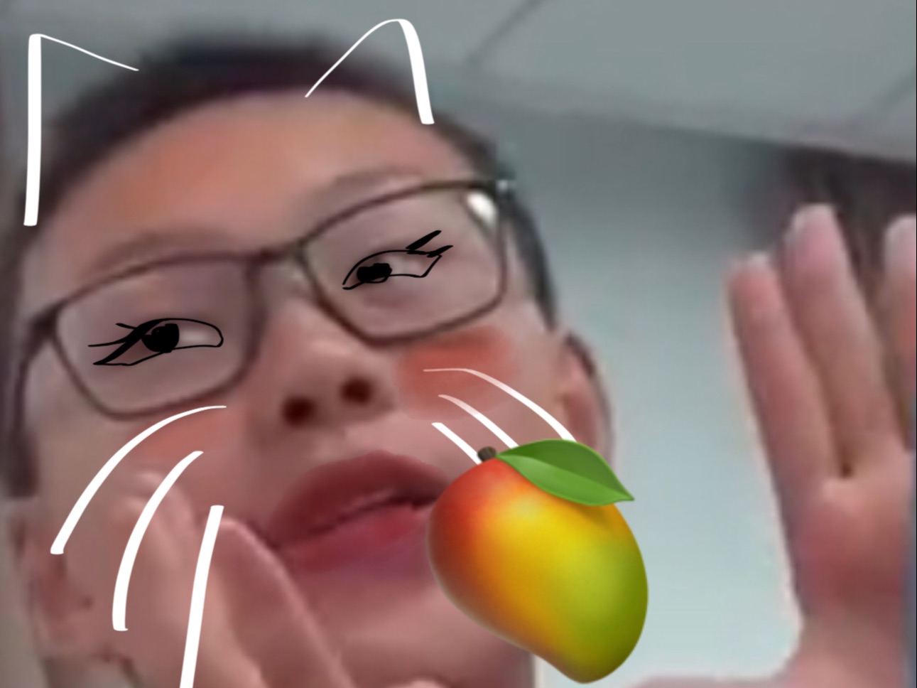 超帅气芒果大智