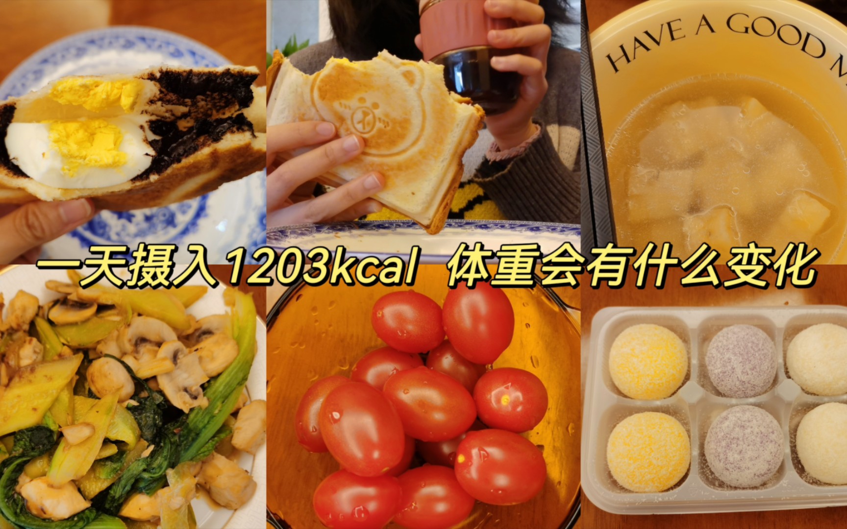 一天摄入1203kcal 体重会有什么变化哔哩哔哩bilibili