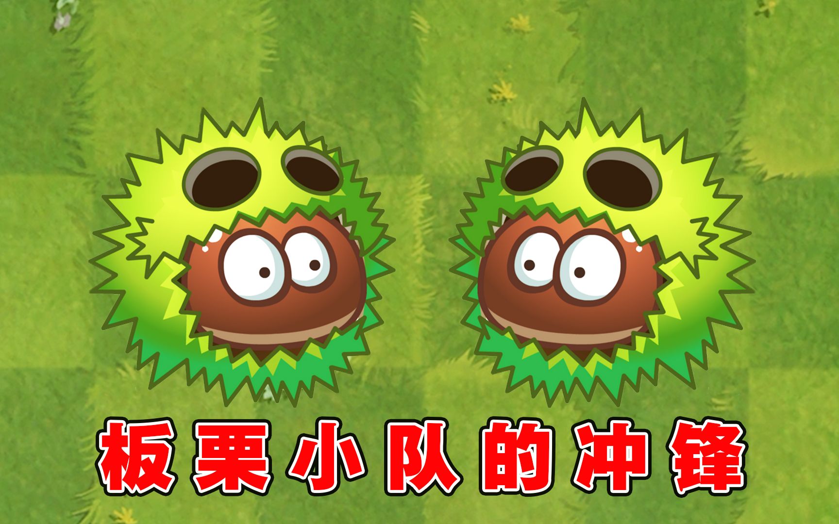 植物大战僵尸:绿油油的板栗小队,发起冲锋时无僵可挡?