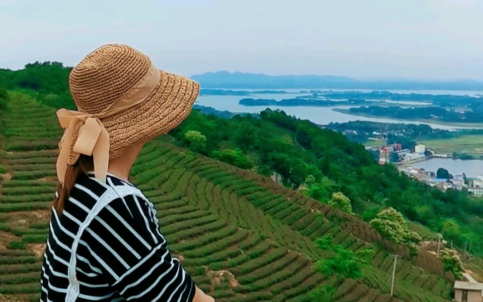 坐在茶园山顶吹吹风,没有烦恼