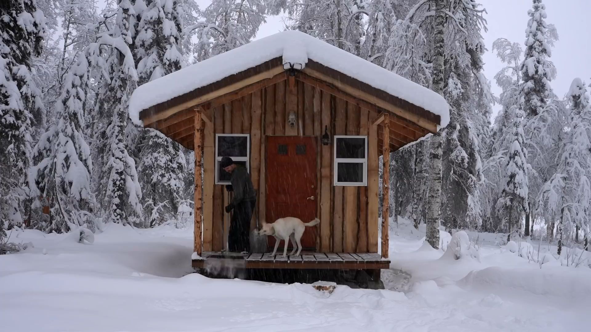 [图]冰天雪地的极北森林，被派遣驻守当护林员，独守居住格外的奢华