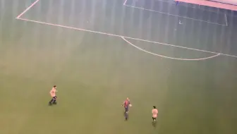 小贝来了