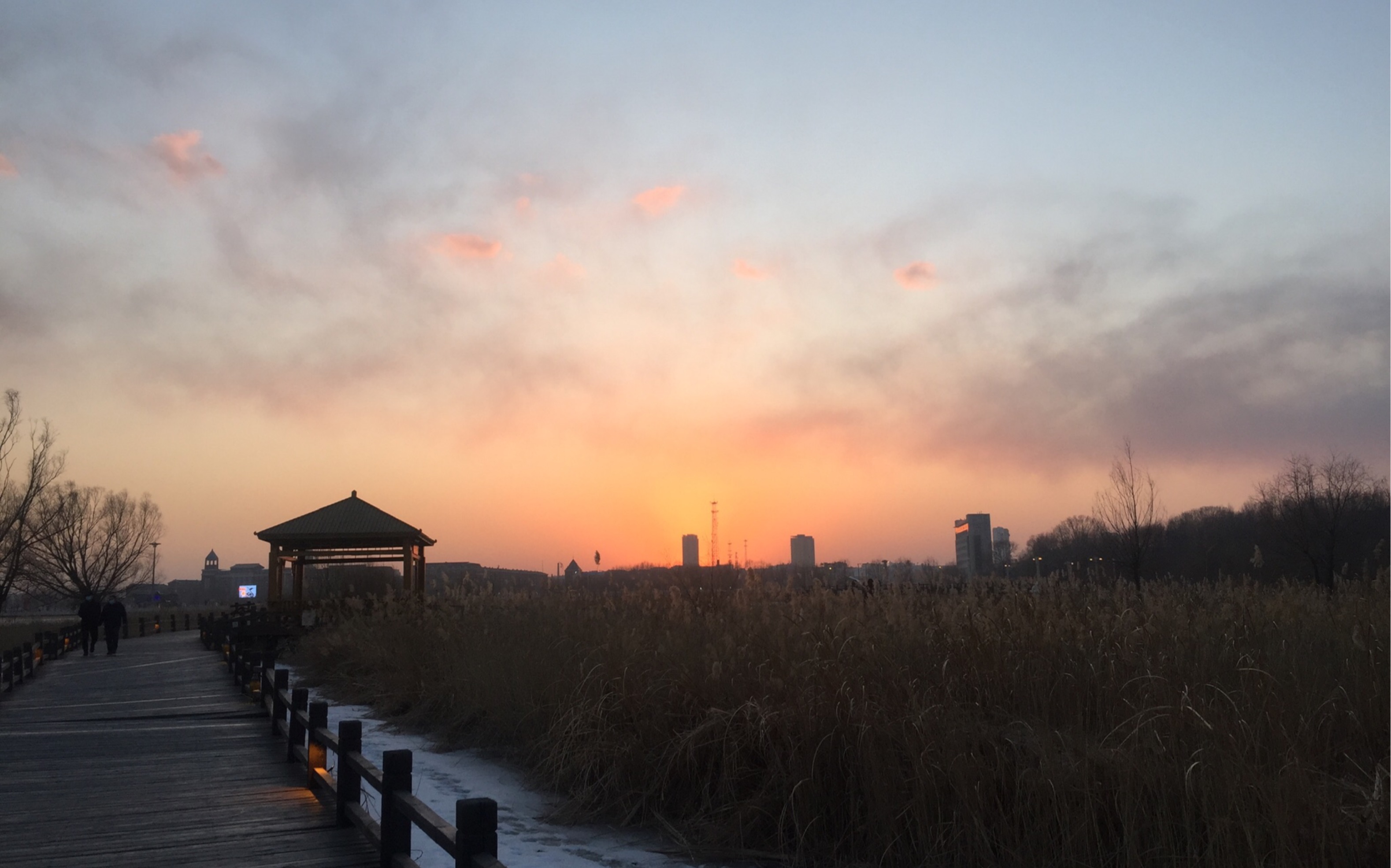 泰来县泰来镇泰湖湿地公园