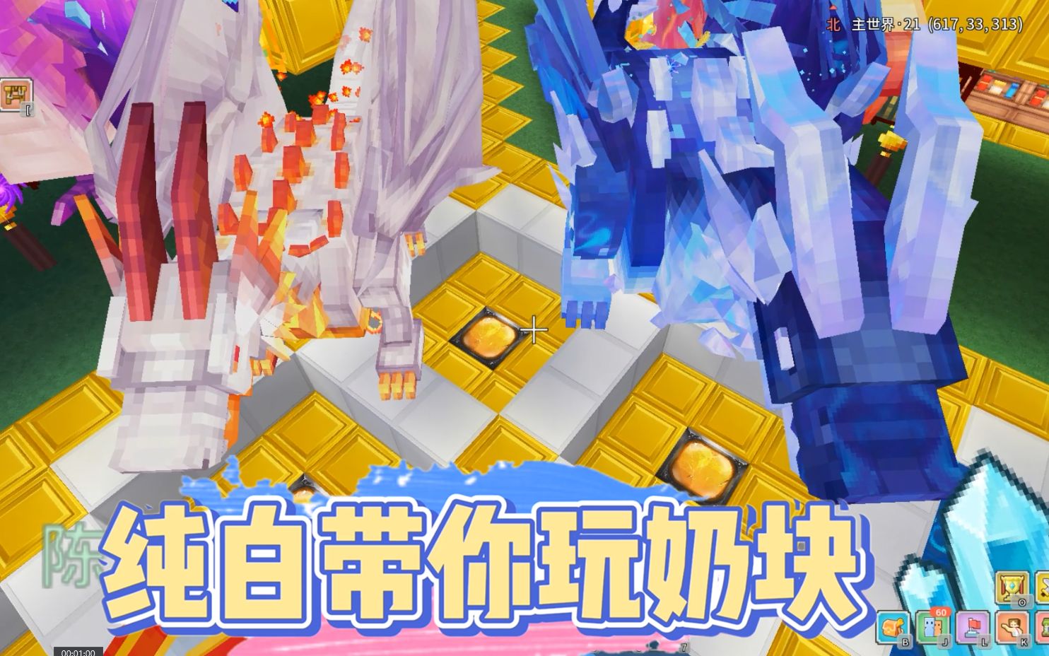 奶块手游光明幼龙与星光龙之战