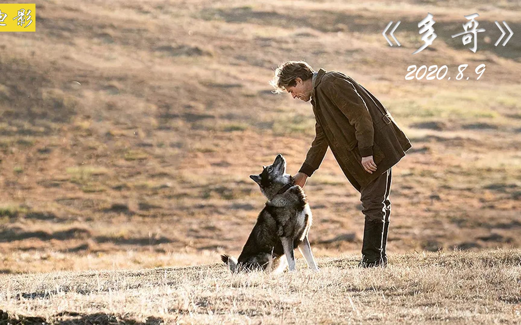 真实事件改编人与狗感人至深致敬最英勇的二哈多哥难得一遇的犬王史上
