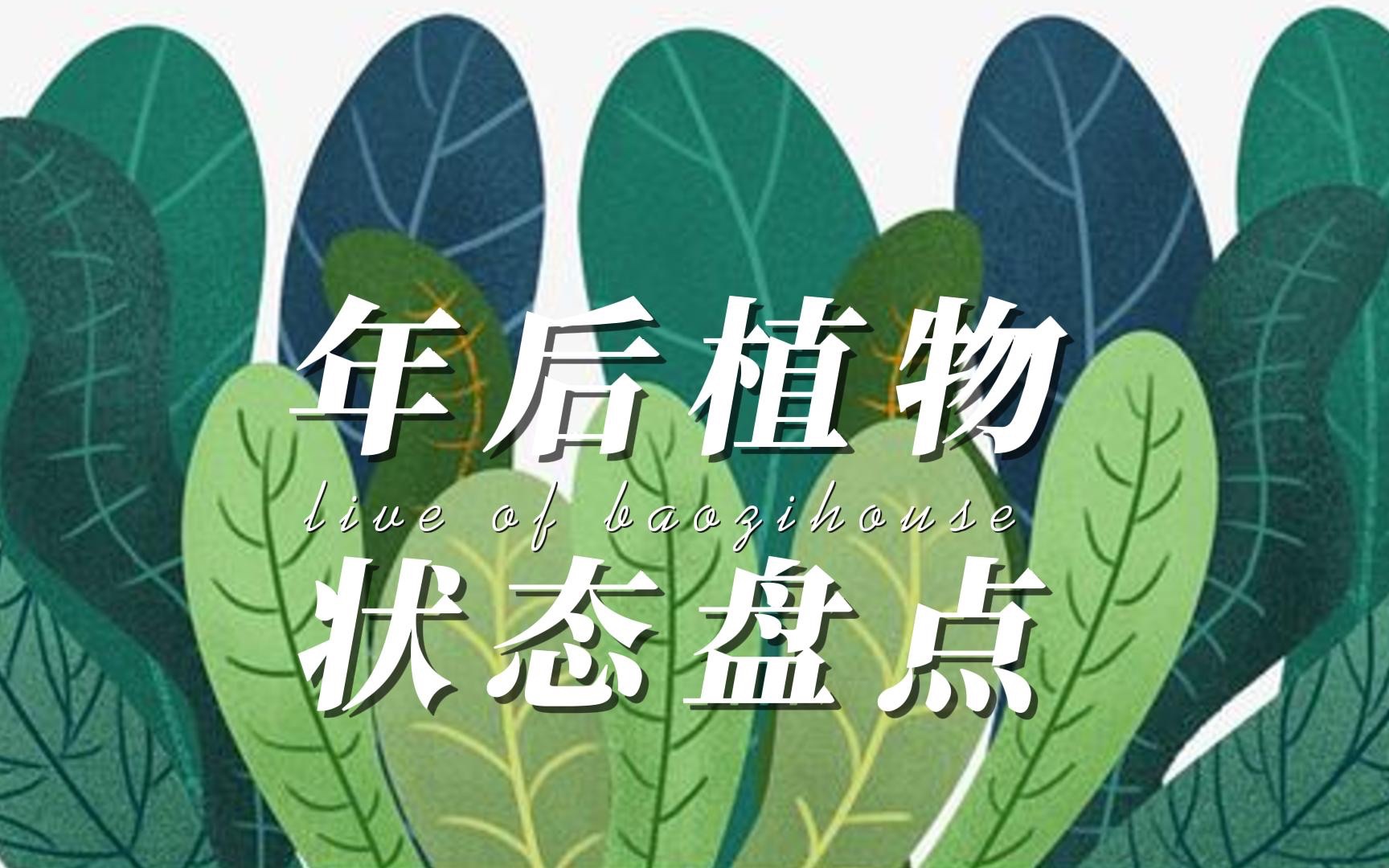 我家的[小森林] 植物成长日记哔哩哔哩bilibili