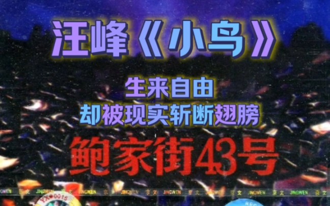 汪峰《小鸟》生来自由,又有几人不被现实斩断翅膀!收录于1997专辑《鲍家街43号》 #摇滚 #音乐 #汪峰哔哩哔哩bilibili