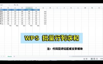 WPS批量行列求和哔哩哔哩bilibili