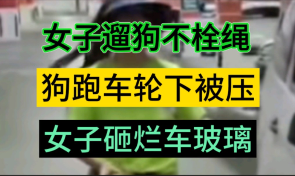 湖北武汉,女子遛狗不拴绳,狗跑到车轮下被压伤,女子拿砖头将司机车玻璃全部砸烂,最后把砖头砸向司机后逃跑.报警后,当地警方以故意损坏财物立案...