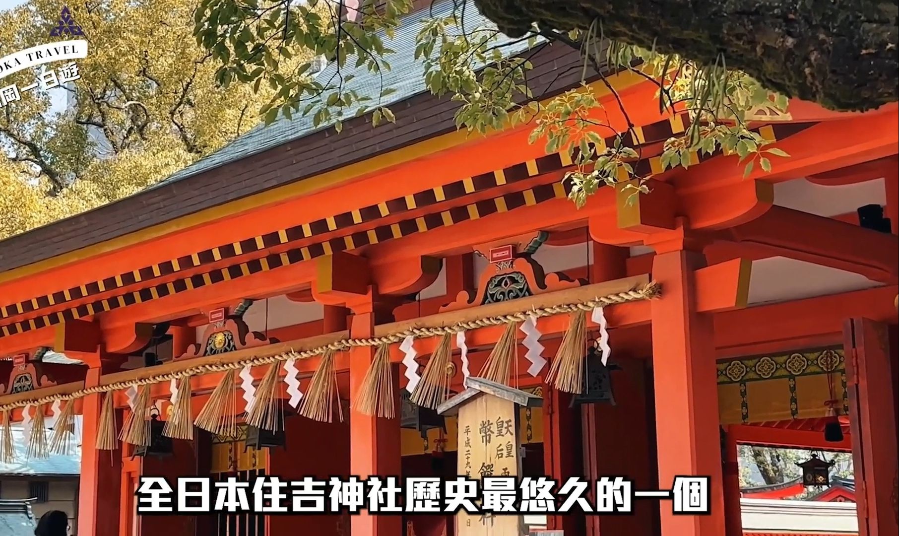 【日本旅游】带你游福冈景点,1800年历史的吉大社大佛,日本福冈旅游vlog哔哩哔哩bilibili