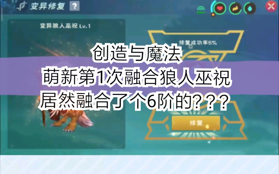 是樱花咩创造与魔法第1次融合狼人居然出了个6阶的