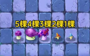 Download Video: 五棵菇类植物，白卡到橙卡，种植数量一次递减，谁战斗力更强？