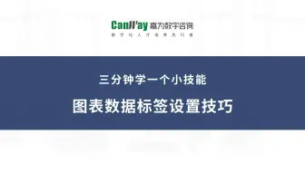 Excel教程：图表数据标签设置技巧