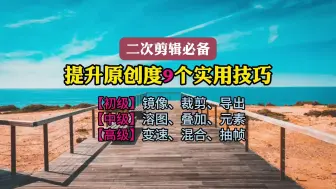 Download Video: 二次剪辑必备：提升视频原创度9个实用技巧