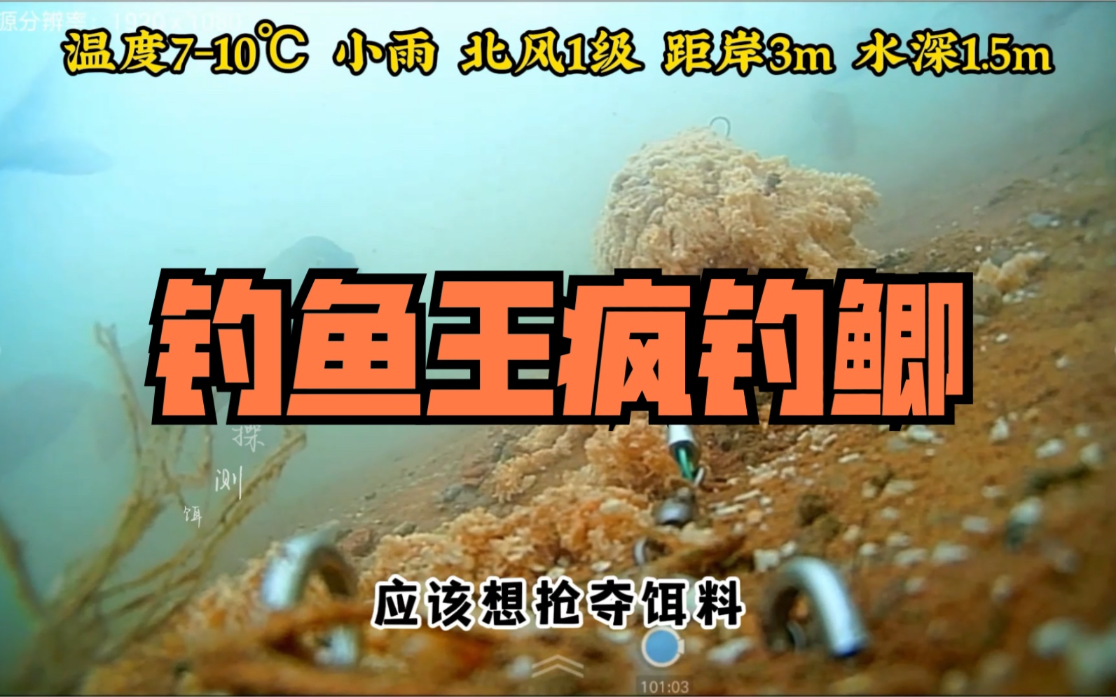 疯钓鲫饵料,这价格的饵料天暖的时候用肯定香.大家可以收藏起来哔哩哔哩bilibili