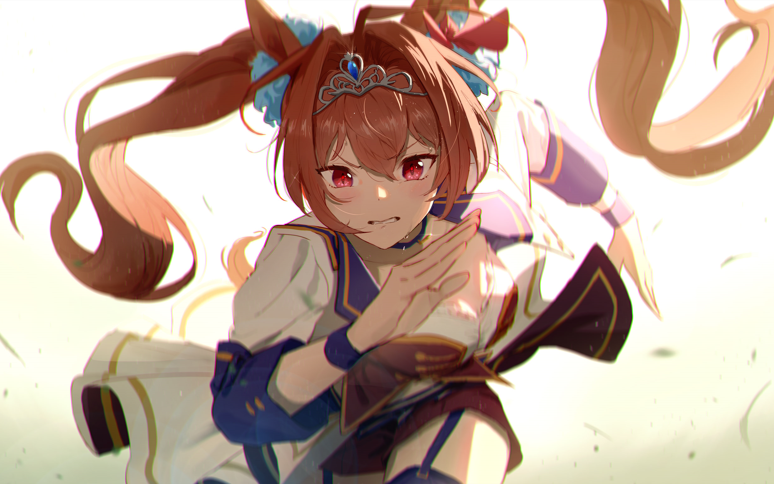 大和赤骥竞赛生涯合集