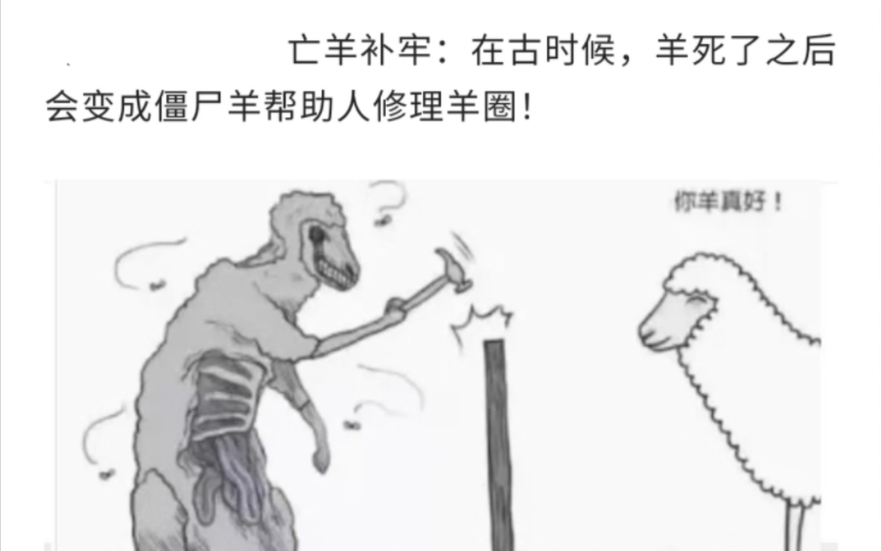 [图]［神回复］“亡羊补牢：古时候，羊死了会变成僵尸羊帮助人修理羊圈”